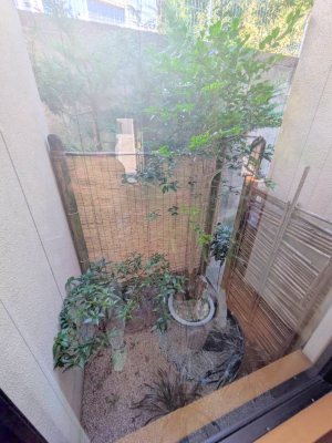 ���̑� �O�ρ���炵�ɏ�����^����A�΂��������ꂽ�Z�܂��ł�