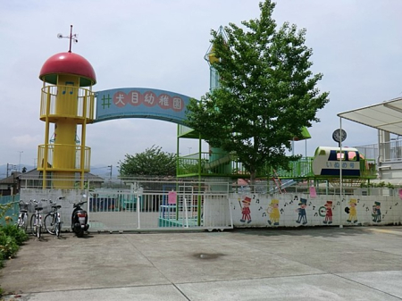 ���ӊ� �c�t���E�ۈ牀 1300m ���ڗc�t��