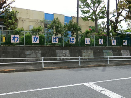 ���ӊ� �c�t���E�ۈ牀 320m �킩�Εۈ牀